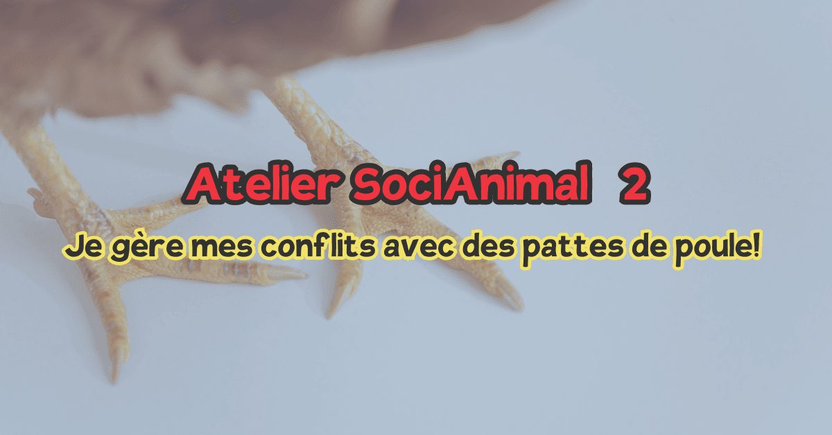 Atelier SociAnimal 2